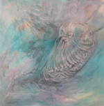 ltk08-05c-nautilus-shell-dhs-6300-75x70-cms-ink-on-paper